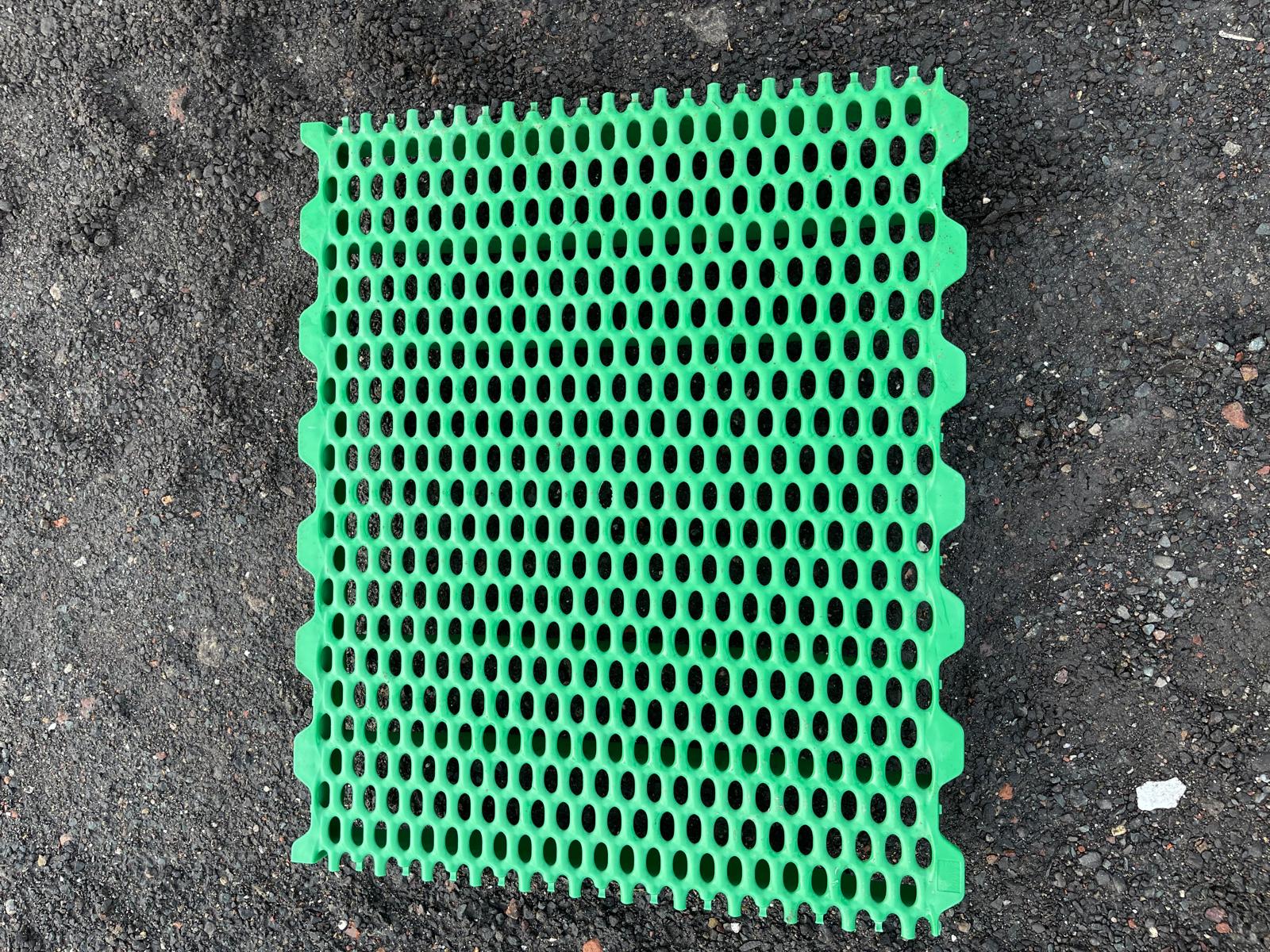 Vereijken 50x60cm