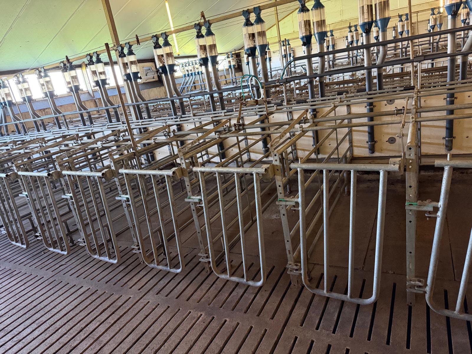 Drachtboxen 2,30 