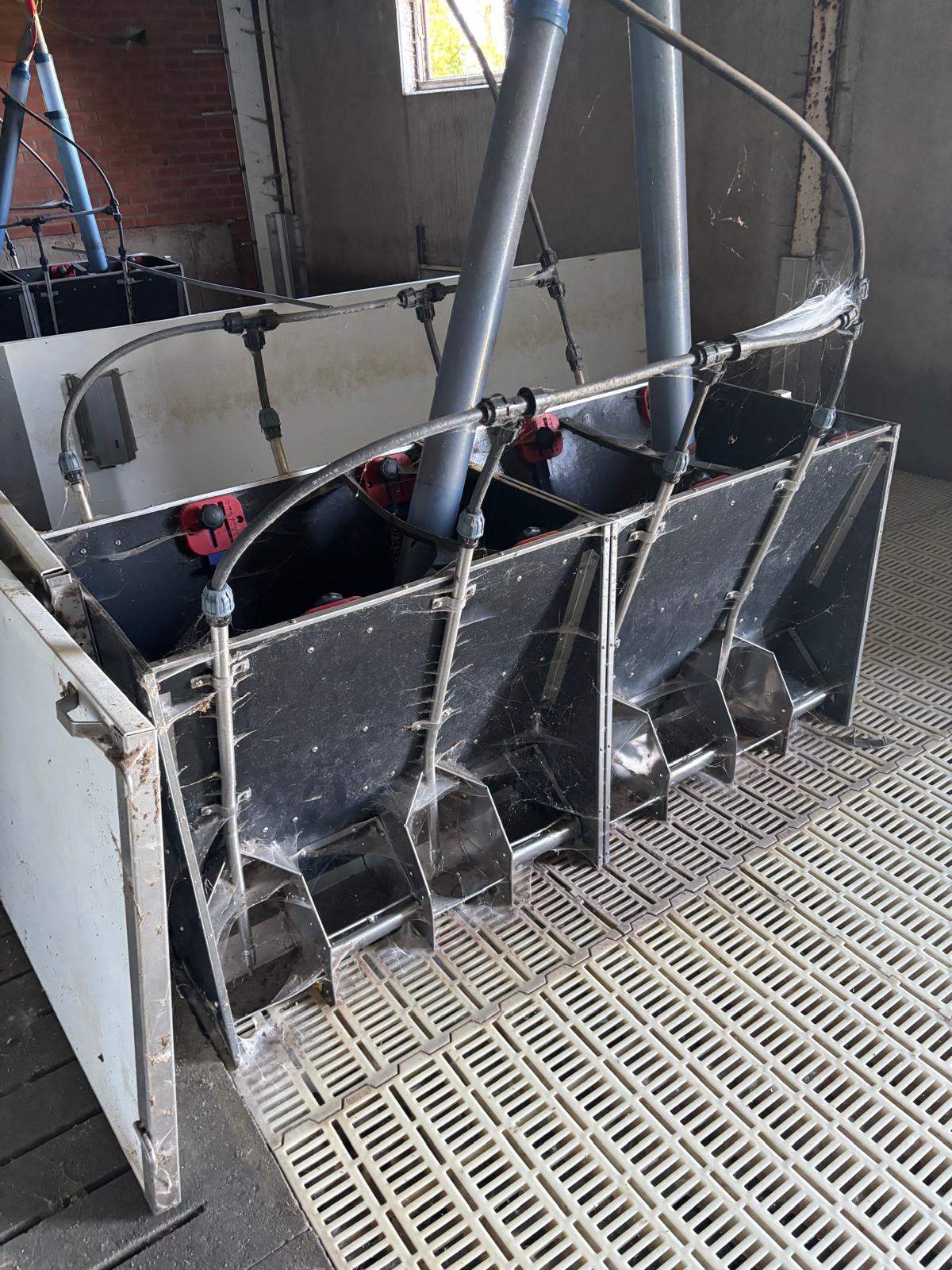 Voerbakken voor biggen met water