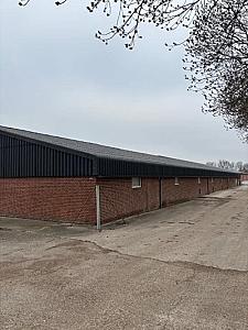 Golfplaten van 2021 [450]