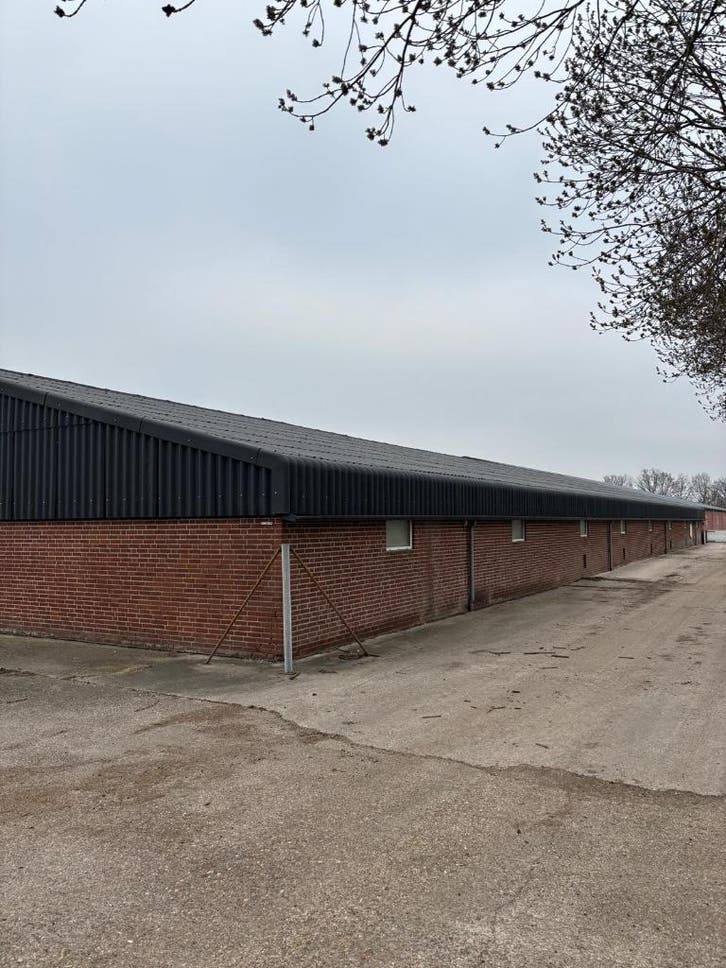 Golfplaten van 2021 [450]