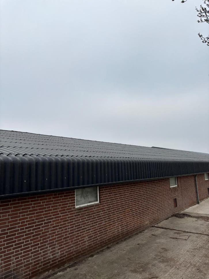 Golfplaten van 2021 [450]