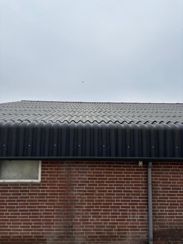 Golfplaten van 2021 [450]