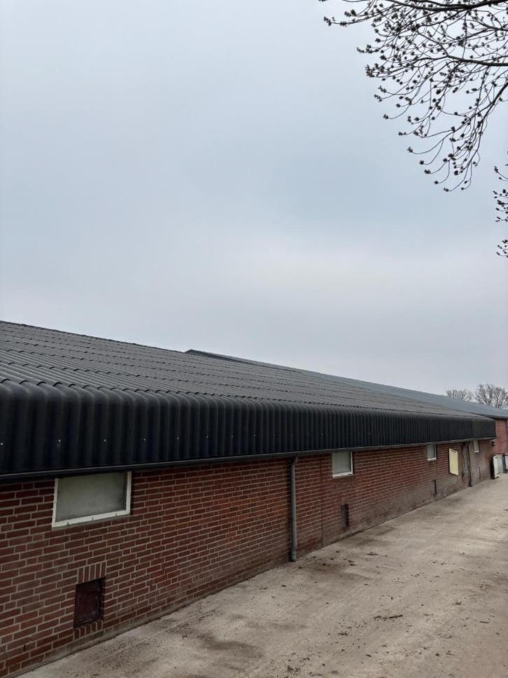 Golfplaten van 2021 [450]