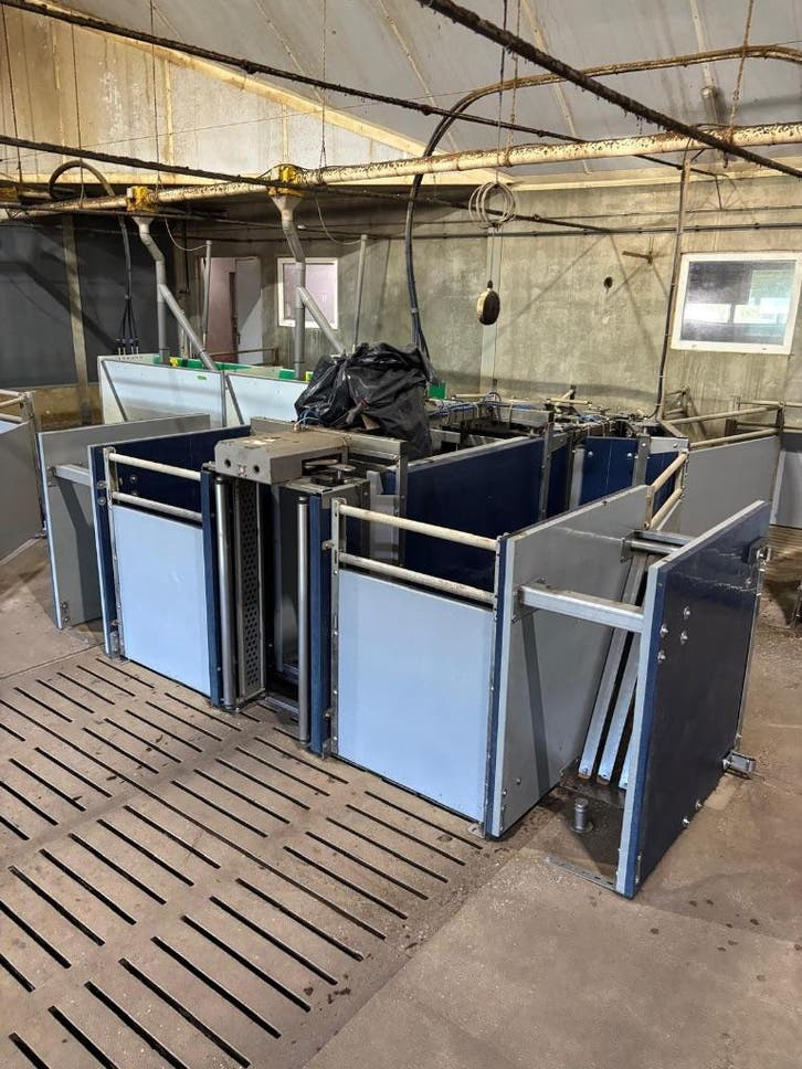 Nedap weighing stations for meat pigs [105]