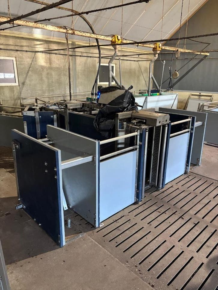 Nedap weighing stations for meat pigs [105]