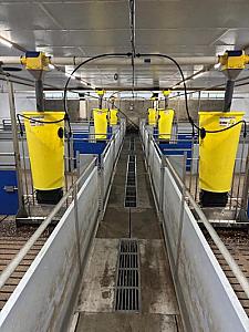 Hokinrichting voor vleesvarkens [270]