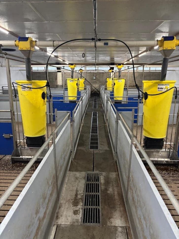 Hokinrichting voor vleesvarkens [270]