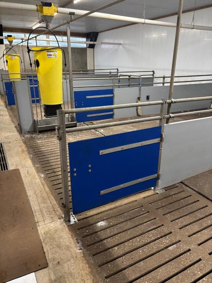 Hokinrichting voor vleesvarkens [270]