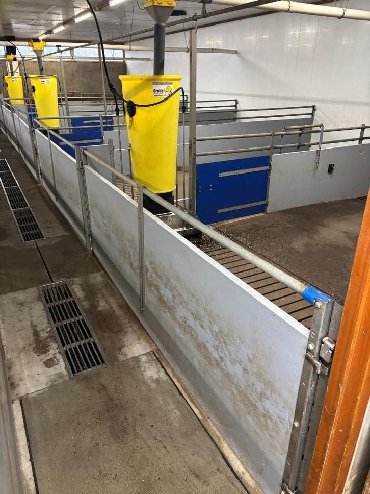 Hokinrichting voor vleesvarkens [270]