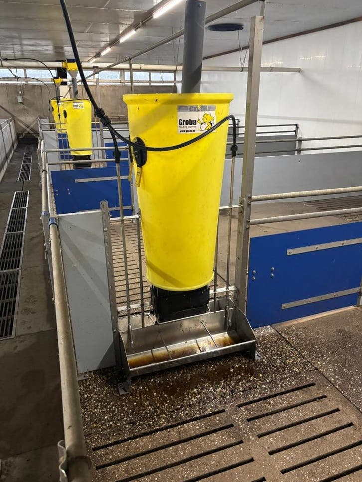 Hokinrichting voor vleesvarkens [270]