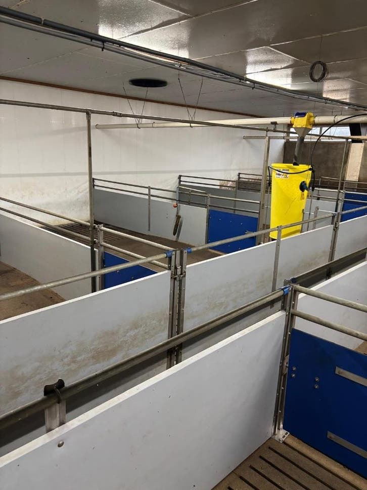 Hokinrichting voor vleesvarkens [270]