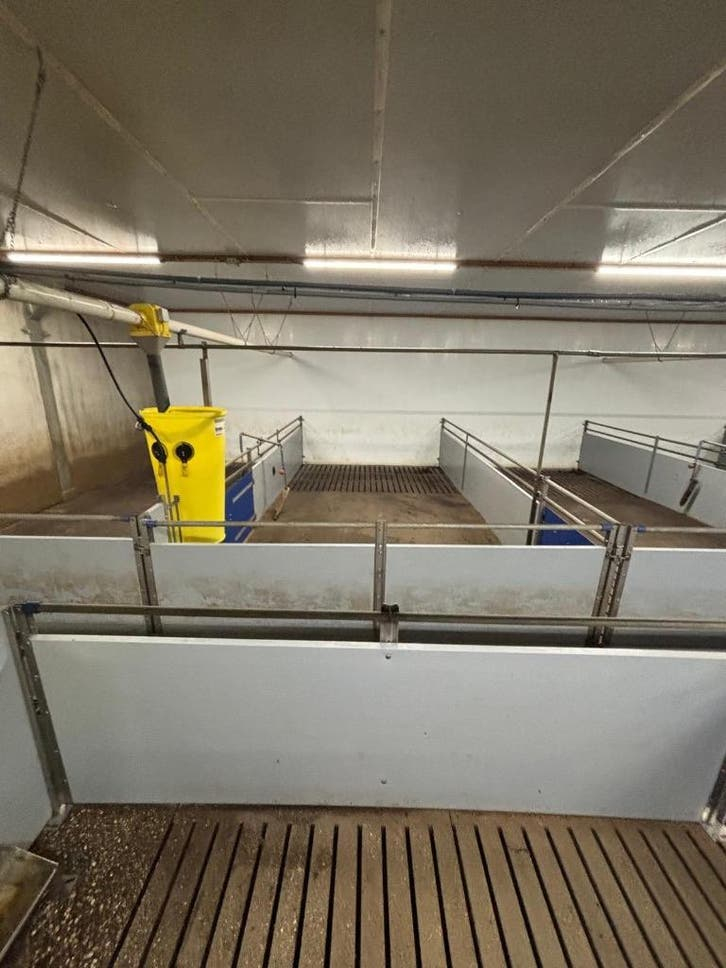 Hokinrichting voor vleesvarkens [270]