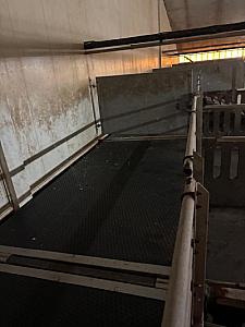 Plateaus voor vleesvarkens [260]